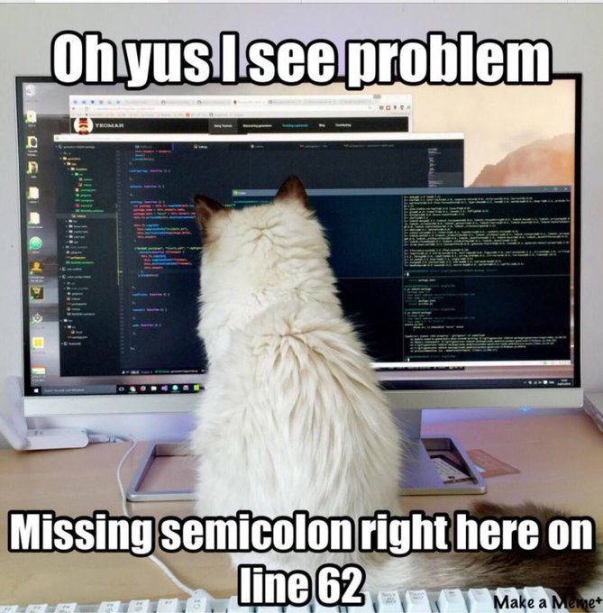 History_TS_ProgrammingMemes_image6.png