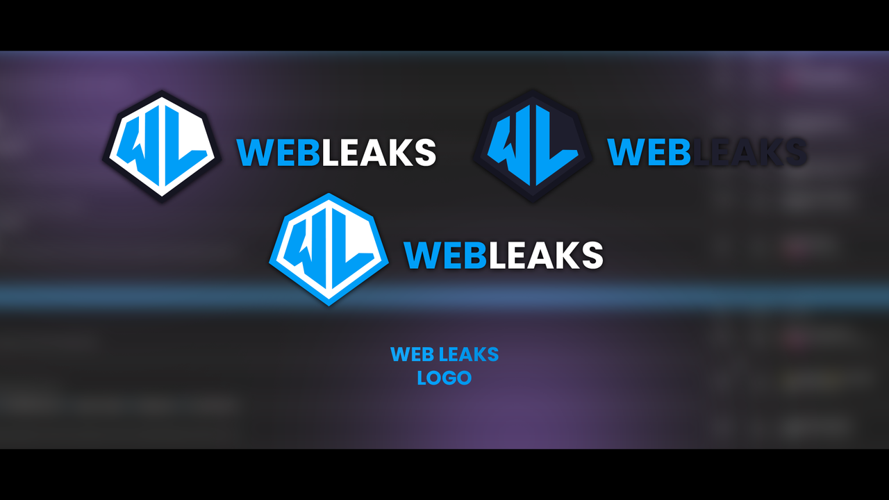 WEB-LEAKS.png